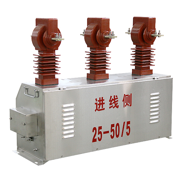 JLSZY1-10(倒立式）